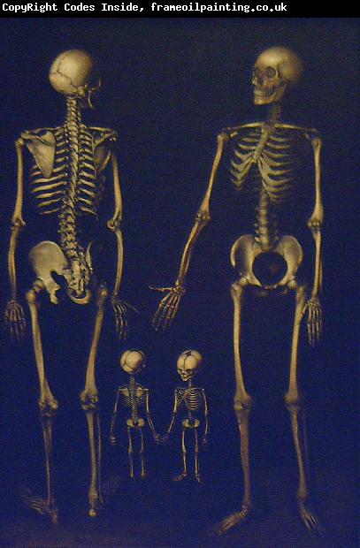 Joseph Esperlin Skeleton Family
