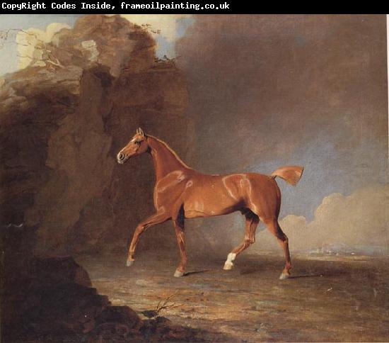Benjamin Marshall A Golden Chestnut Racehorse by a Rock Formation With a Town Beyond