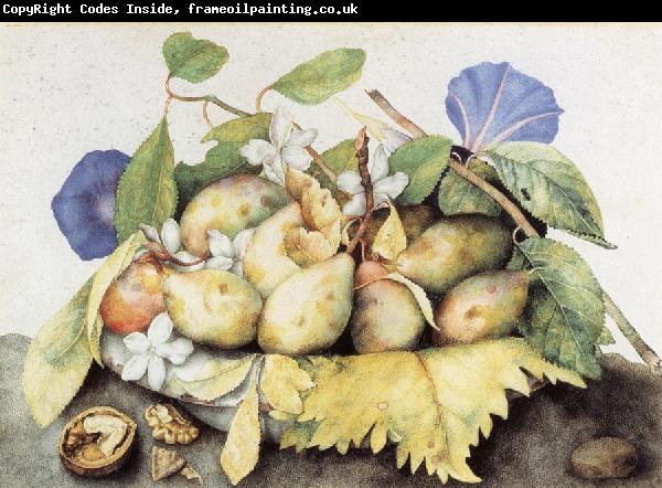 Giovanna Garzoni Plate of Plums with Jasmine and Nuts