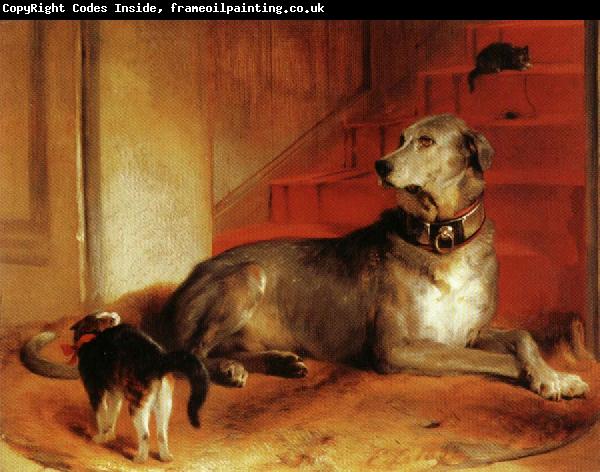 Sir edwin henry landseer,R.A. Lady Blessingham's Dog