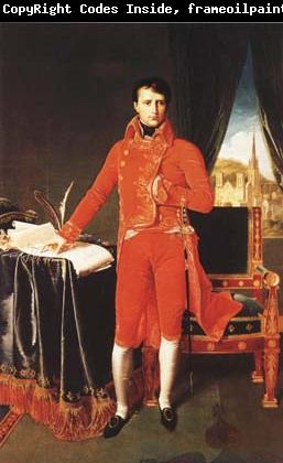Jean Auguste Dominique Ingres Napoleon Bonaparte in the Uniform of the First Consul (mk04)