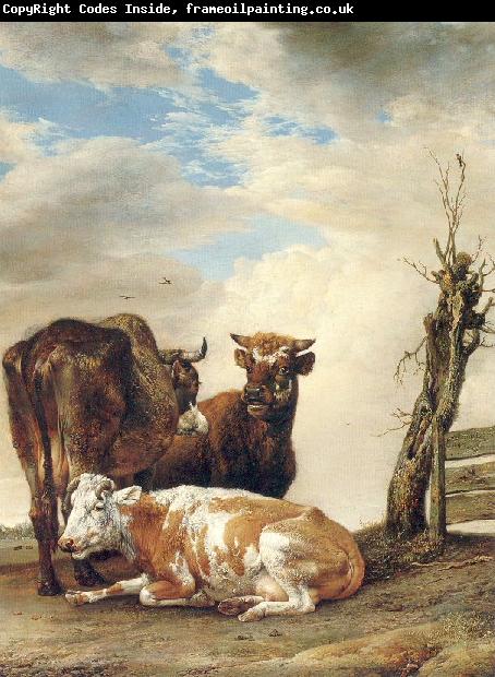 POTTER, Paulus Two Cows a Young Bull beside a Fence in a Meadow