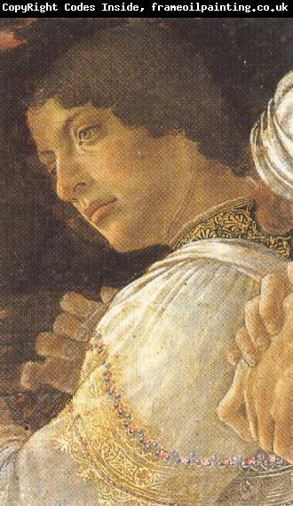 Sandro Botticelli Young kneeling Mago (mk36)