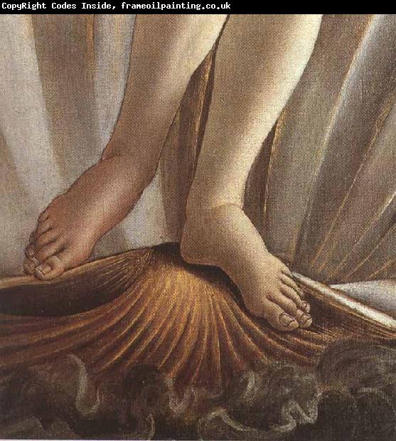 Sandro Botticelli The Birth of Venus (mk36)