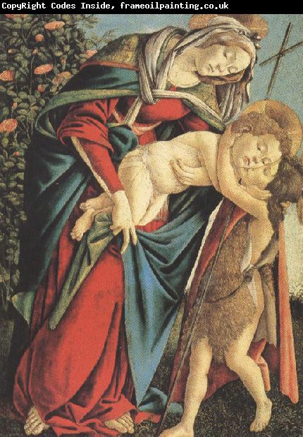 Sandro Botticelli Madonna and Child with the Young St john or Madonna of the Rose Garden (mk36)