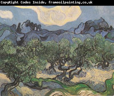 Vincent Van Gogh Olive Trees with the Alpilles in the Background (nn04)