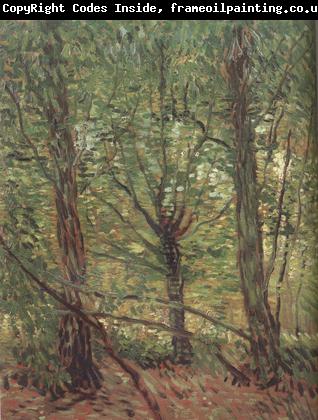 Vincent Van Gogh Trees adn Undergrowth (nn04)