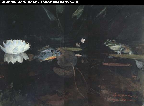 Winslow Homer The Mink Pond (mk44)
