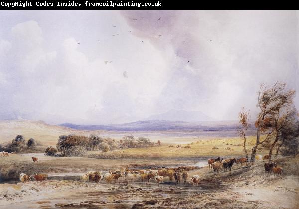 Peter Dewint View on the Lowther,with Cattle in the Water