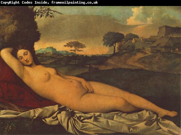 Giorgione Sleeping Venus dhh