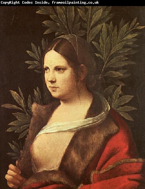 Giorgione Laura