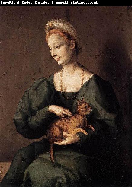BACCHIACCA Woman with a Cat