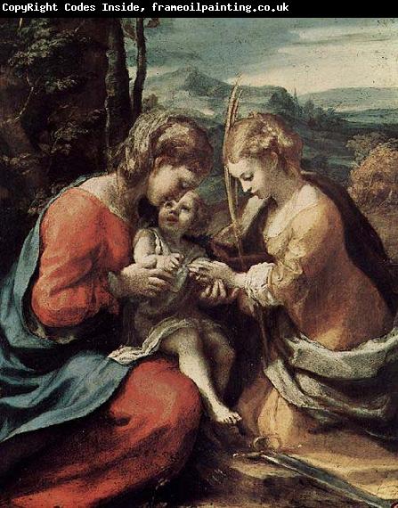 Correggio Die Mystische Hochzeit der Hl. Katharina von Alexandrien