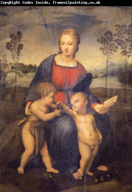 Raphael Madonna of the Goldfinch